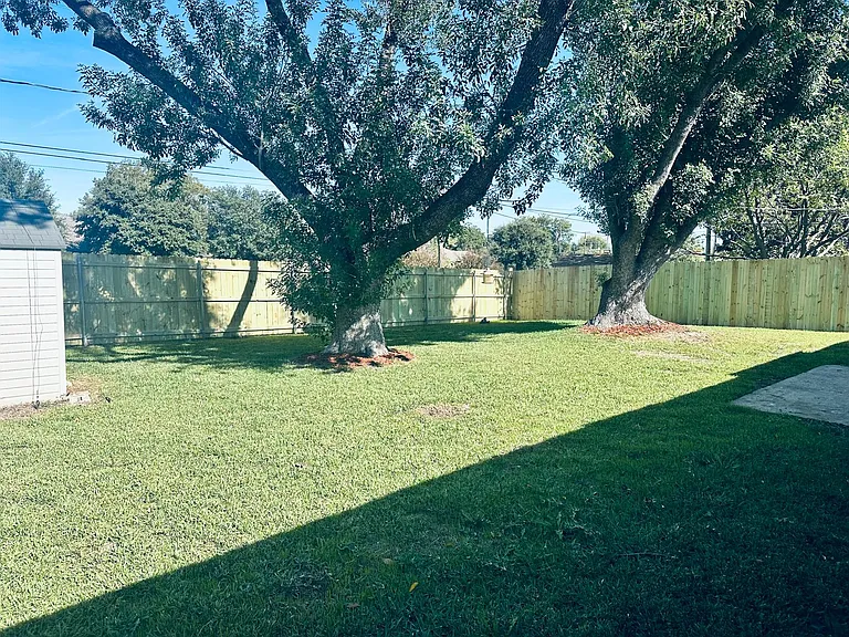 Fenced Back Yard