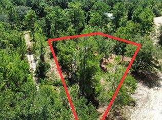 132 Illinois St LOT 33, Interlachen, FL 32148