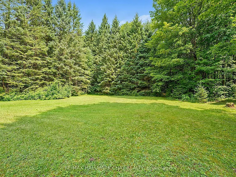 1091 Fox Farm Rd — Photo 17