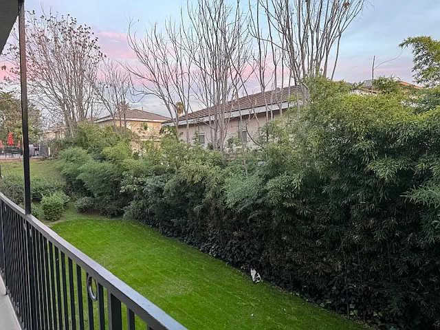 view from dining and living room of back apartment