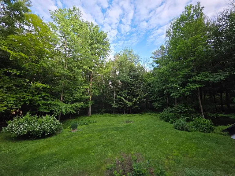 476 Hawk Pine Rd — Photo 33