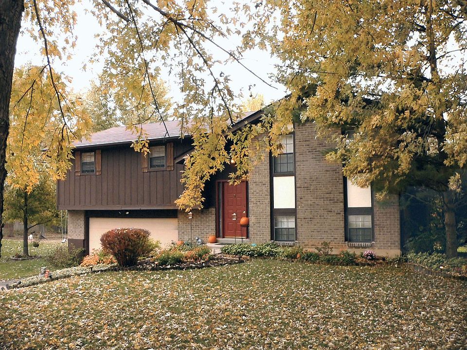 Front view