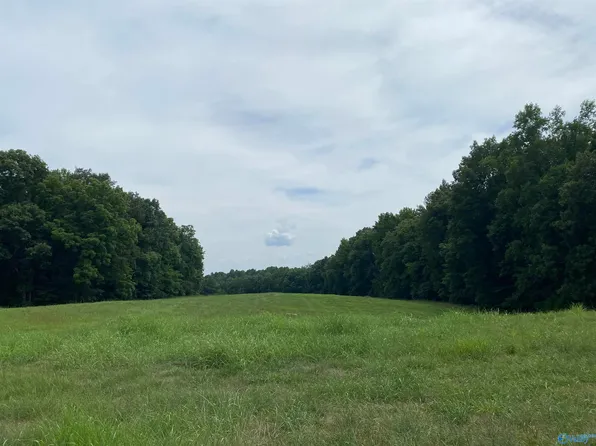 28.59 Elk River Mills Rd, Athens, AL 35614