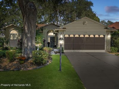 3048 Eagle Bend Rd, Spring Hill, FL, 34606
