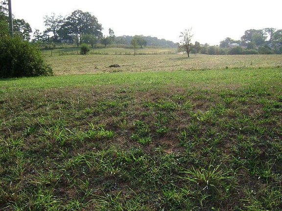 open field beyond well