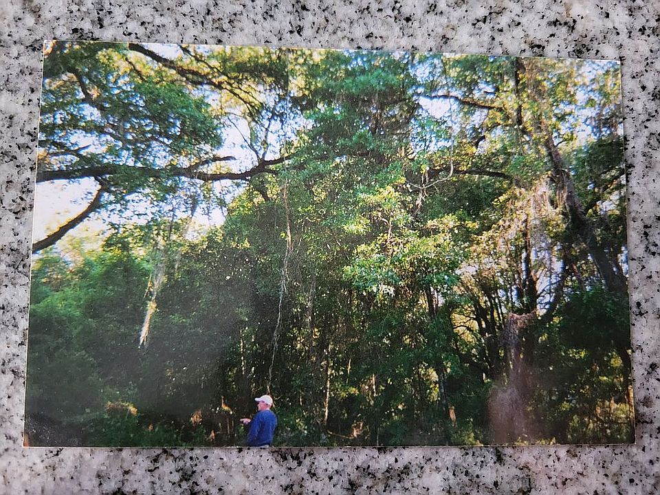 Photo when purchased, 2004