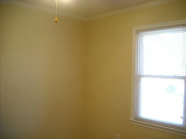 1910 Conway Dr — Photo 13