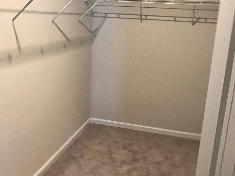 Walk-in closet attached to master bedroom