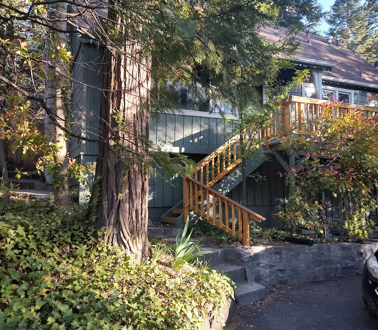 24861 Faulhorn Dr — Photo 2