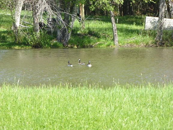 5th image of 858 Missouri Flat Rd