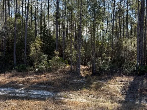 0 Heritage Cir, Hortense, GA 31543