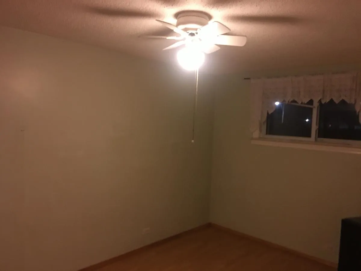 11325 Joseph Campau St photo 1