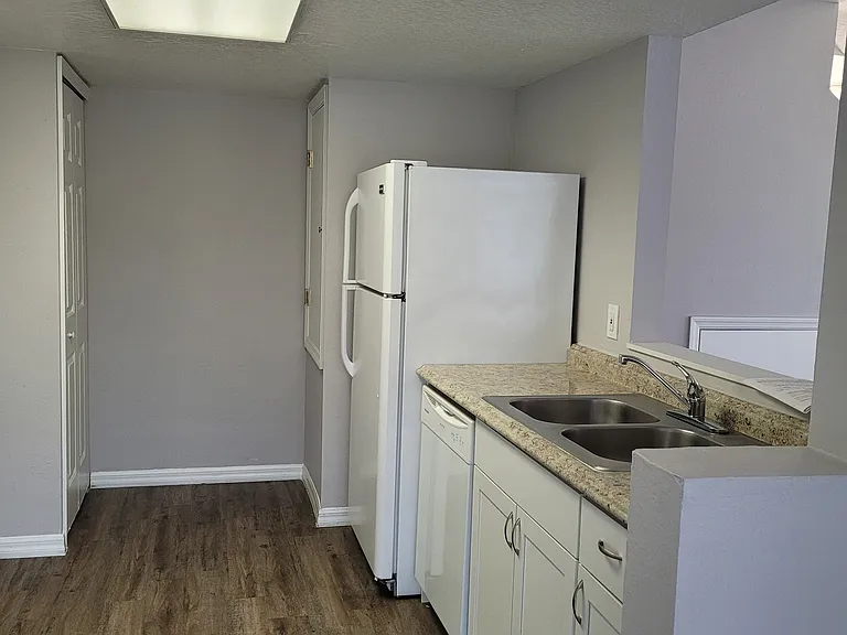 103 Coconut Palm Way — Photo 5