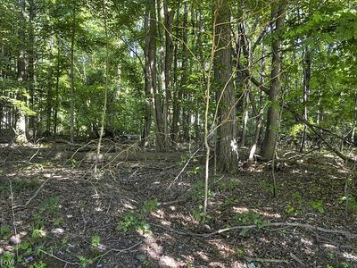 Bradley Rd, Westlake, OH, 44145