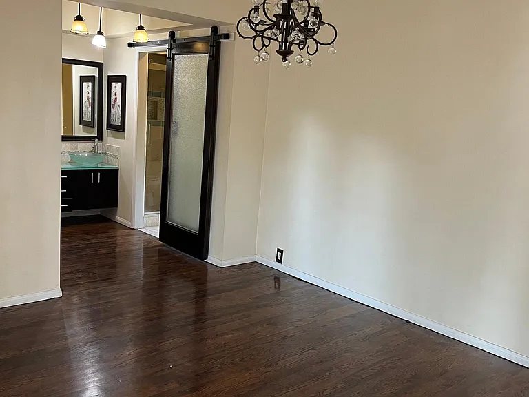 Barn Door to bathroom
