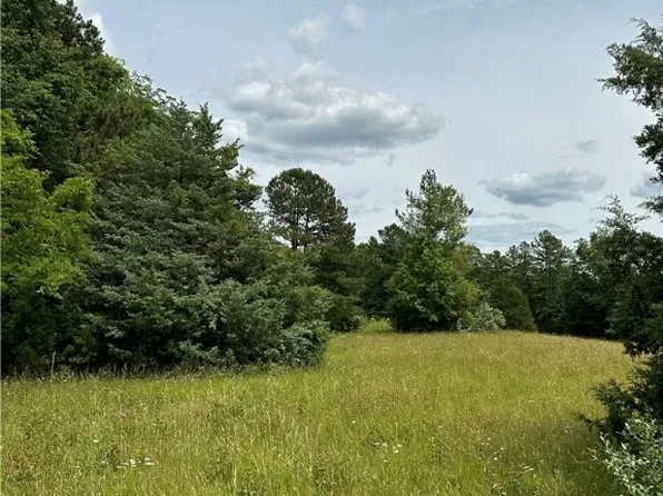 0 Jonesboro Church Rd Lot F, Blackstone, VA 23824
