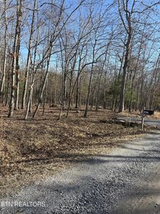 1015 Gray Eagle Dr Lot 106, Crossville, TN, 38572