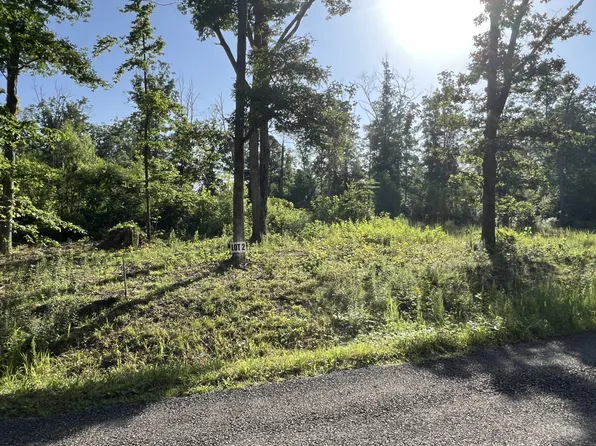 2 Slaughter Rd, Primm Springs, TN 38476