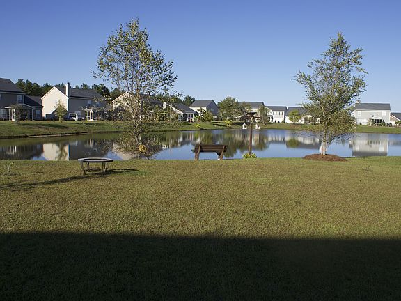 pond view