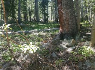 0 Lamertine Rd, Idaho Springs, CO 80452