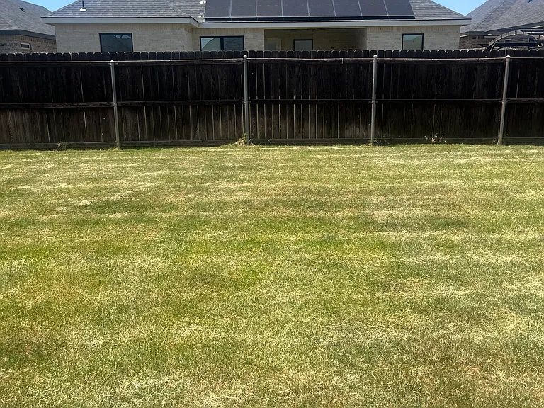7414 Wildflower Way — Photo 3
