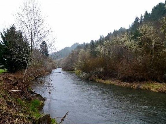 17782 Hwy 36, Blachly