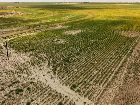 Quail Road Elk Rd, Smyer, TX 79367