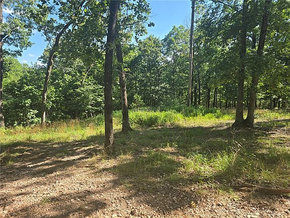 5th image of LOT 9 Esculapia Hollow Rd