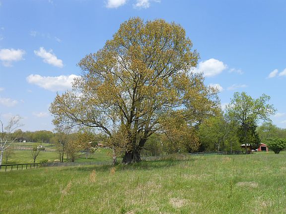 2nd image of 1604 Long Hollow Pike Lot 1