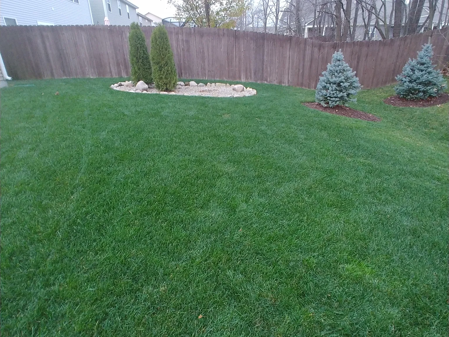 3 bed, 1370 sqft, $2,000 — Photo 4