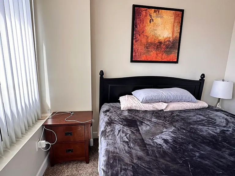 450 N Arlington Ave #1209 — Photo 28