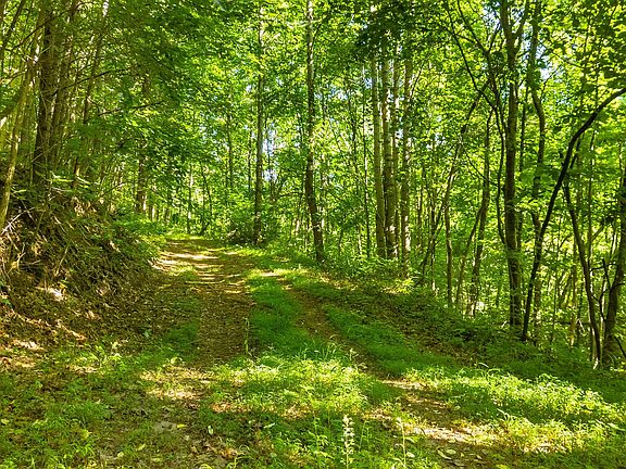 4th image of 0 N Off Hwy #411