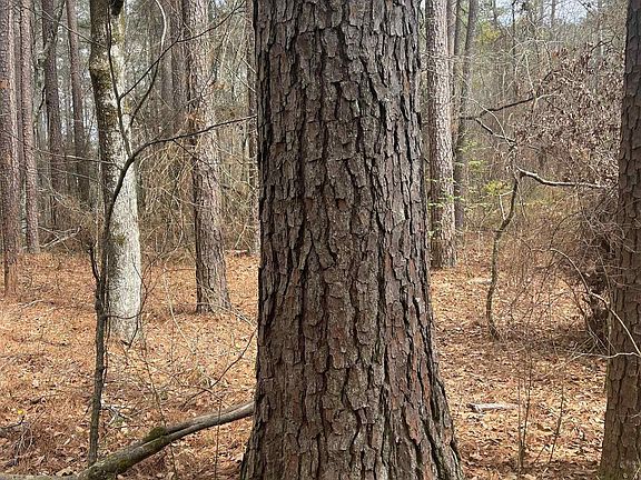 2nd image of Silliman Calhoun 14 Rd