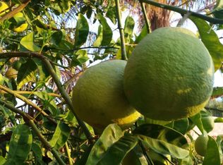 11215 Bromont Ave, Pacoima, CA 91331