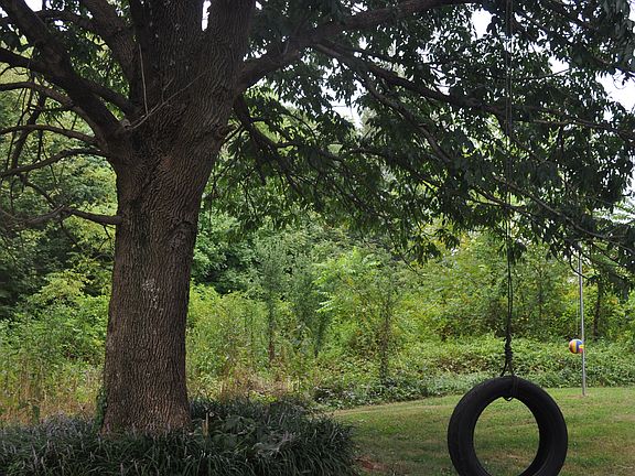 Perfect Mini Farm & Fenced