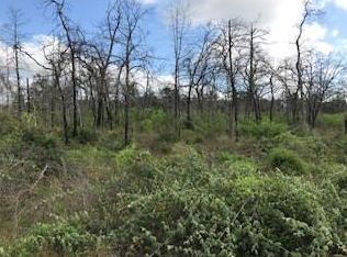 118 Agget Rd, Smithville, TX 78957