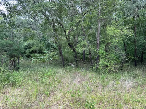 Hickory Lane Lot 9, Live Oak, FL 32060