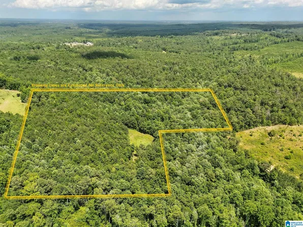 0 State Highway 82 #1, Maplesville, AL 36750