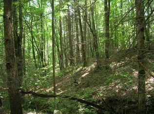 LOT 19 Sunkota Trl, Bryson City, NC 28713