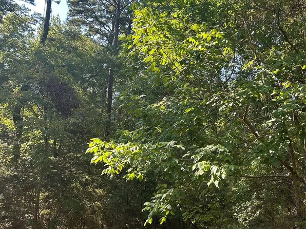 1327 Joanna Hill Dr, Livingston, TX 77351