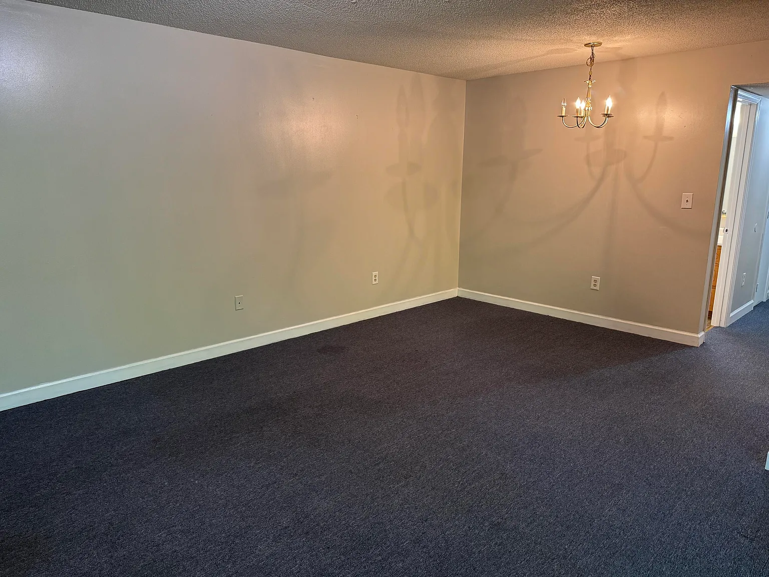 2 bed, 1.0 bath, 800 sqft, $750 — Photo 4