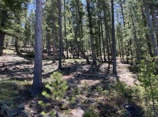 TRACT-25A Georgetown Lake Rd, Philipsburg, MT 59858