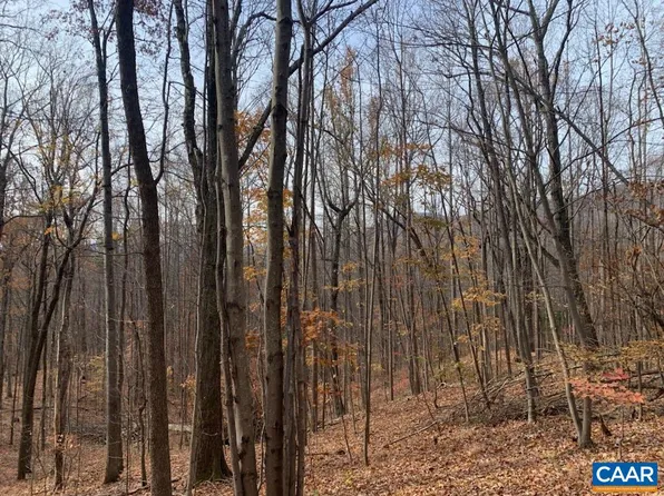 1673A Ennis Mountain Rd, Afton, VA 22920
