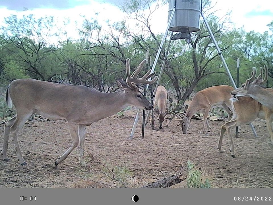 1st image of Fm 576 W