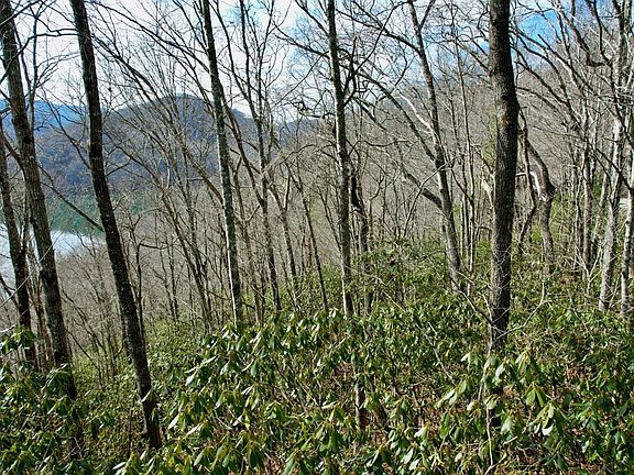 3rd image of Zimmerman Holly Ridge Rd Lot 13