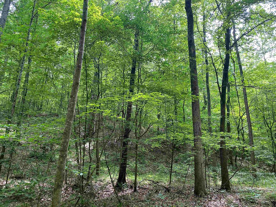 31st image of this home