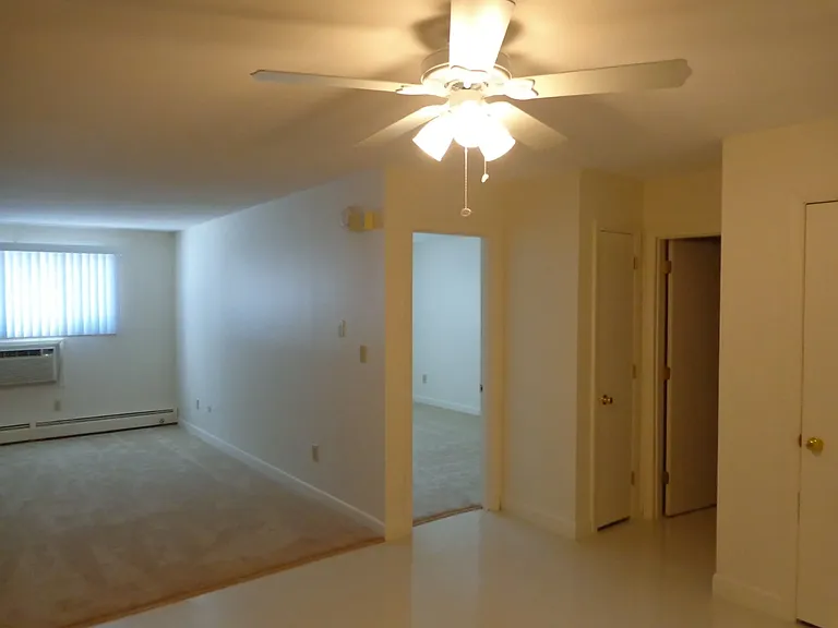 The Woodlands — Photo 3