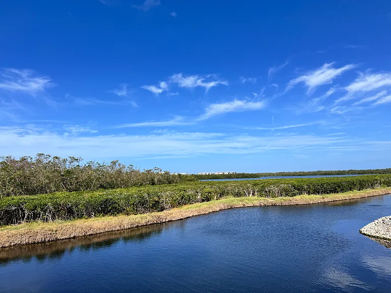 1216 Spoonbill Landings Cir — Photo 28