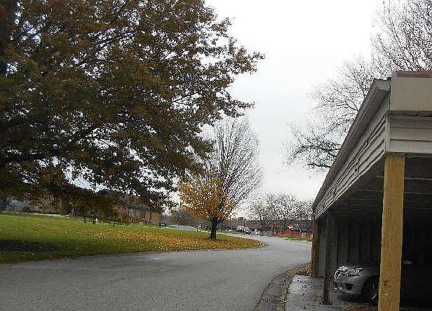 2nd image of 973 Millpond Rd