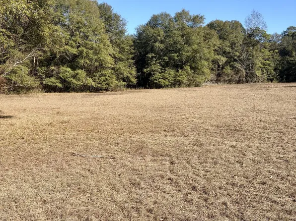 Monterey Rd, Forest Home, AL 36030
